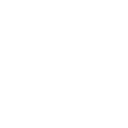 Ferrari N.V. logo